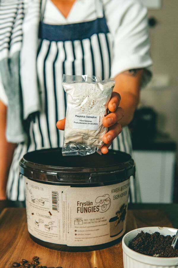 Fryslân Fungies Oesterzwam Growkit - Afbeelding 3