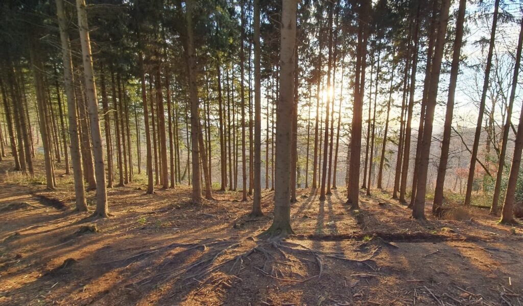 Bedrijf verduurzamen header foto