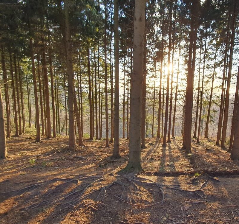 Bedrijf verduurzamen header foto