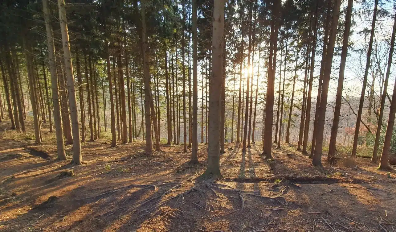 Bedrijf verduurzamen header foto