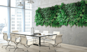 Beplanting op kantoor