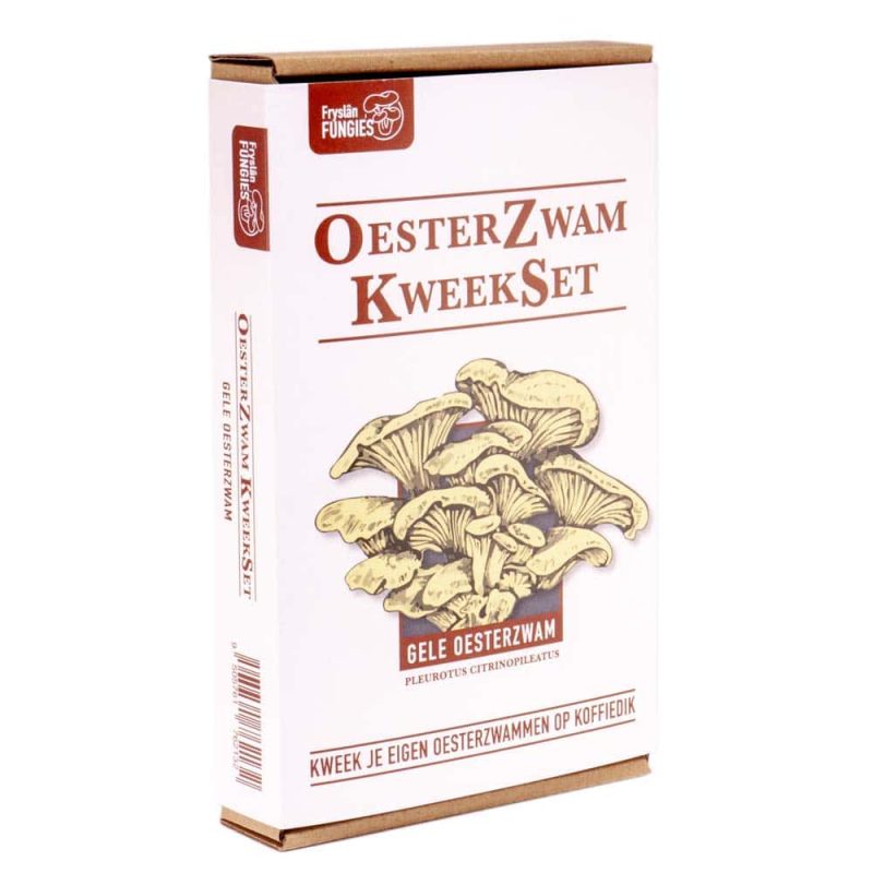 Gele oesterzwam kweekset