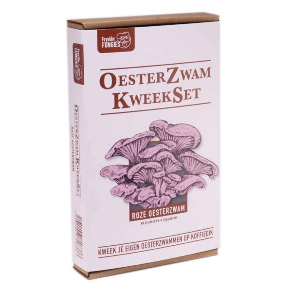 Roze oesterzwam kweekset