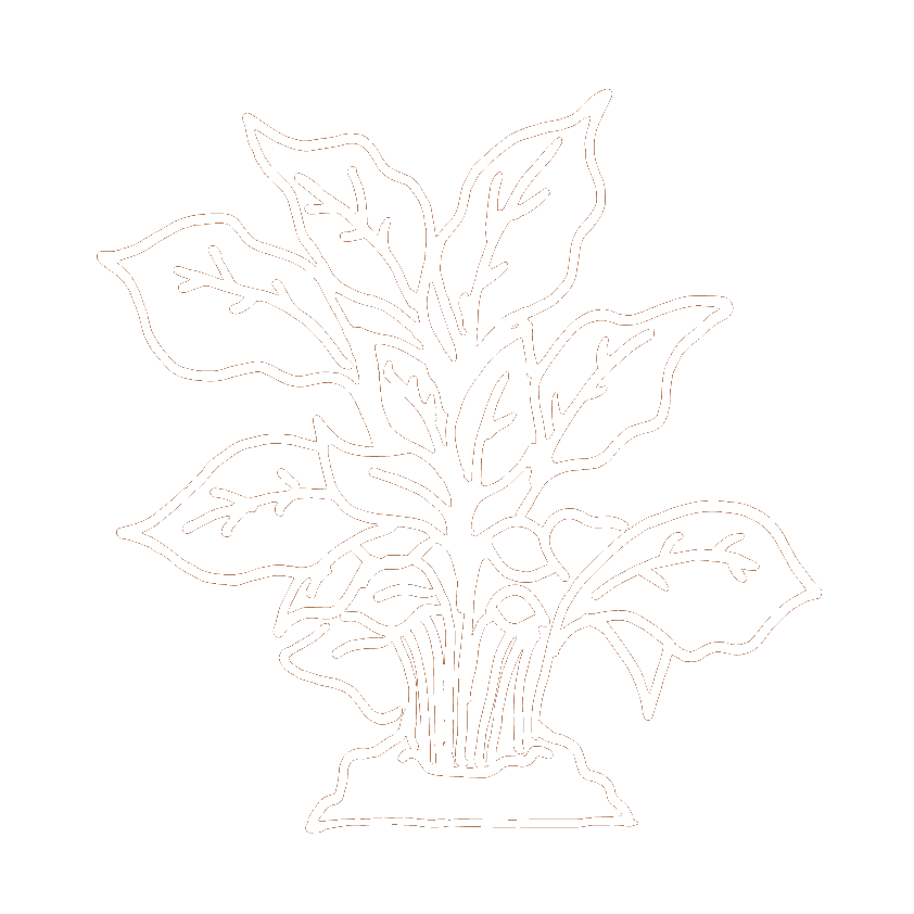 Logo_fryslanfungies_losse_zwam_wit