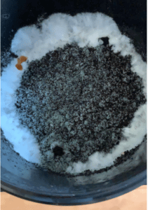 trichoderma in growkit
