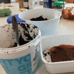 zelfgemaakte oesterzwam growkit