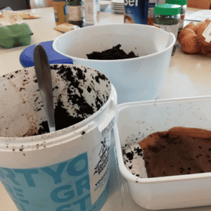 zelfgemaakte oesterzwam growkit