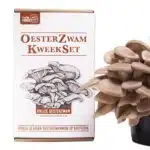 Oesterzwam kweekset