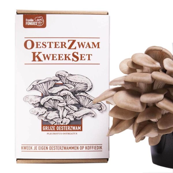 Oesterzwam kweekset