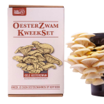 Oesterzwam Kweekset - Gele oesterzwam - (Brievenbuspakket)