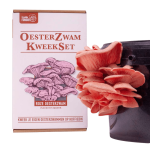 Oesterzwam Kweekset - Roze oesterzwam - (Brievenbuspakket)