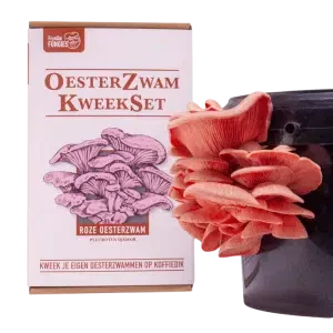 Oesterzwam-kweekset-roze