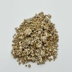 broed voor het kweken van paddenstoelen