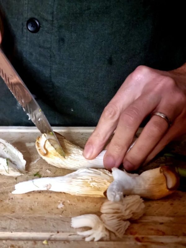 Koken met de zwammen
