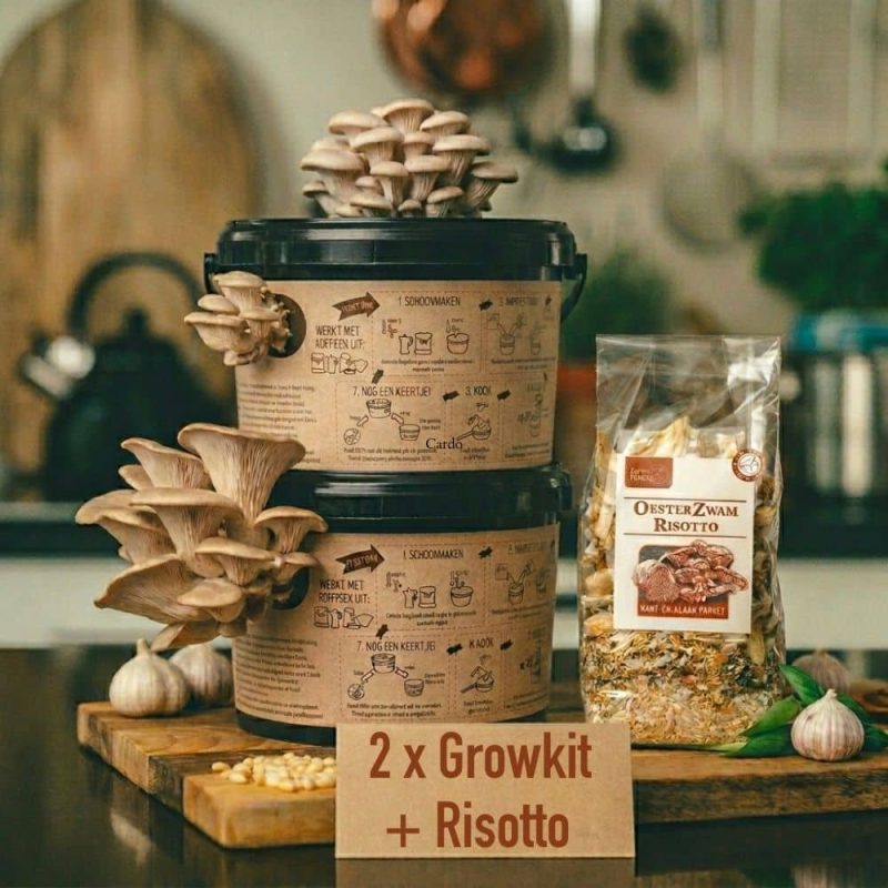 Voordeelbundel met 2 growkits en 1 oesterzwamrisotto Voordeelbundel met 2 growkits en 1 oesterzwamrisotto