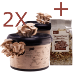 2x Fryslân Fungies Oesterzwam Growkit + Oesterzwam Risotto (voordeelbundel)