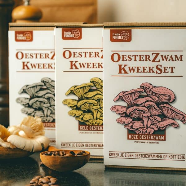 Oesterzwam kweeksets, voor het kweken van paddenstoelen op je eigen koffiedik, voor roze, gele en grijze oesterzwammen