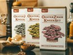 Oesterzwam kweeksets, voor het kweken van paddenstoelen op je eigen koffiedik, voor roze, gele en grijze oesterzwammen