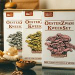 Kweek oesterzwammen in 3 kleuren, kweekset voordeelbundel