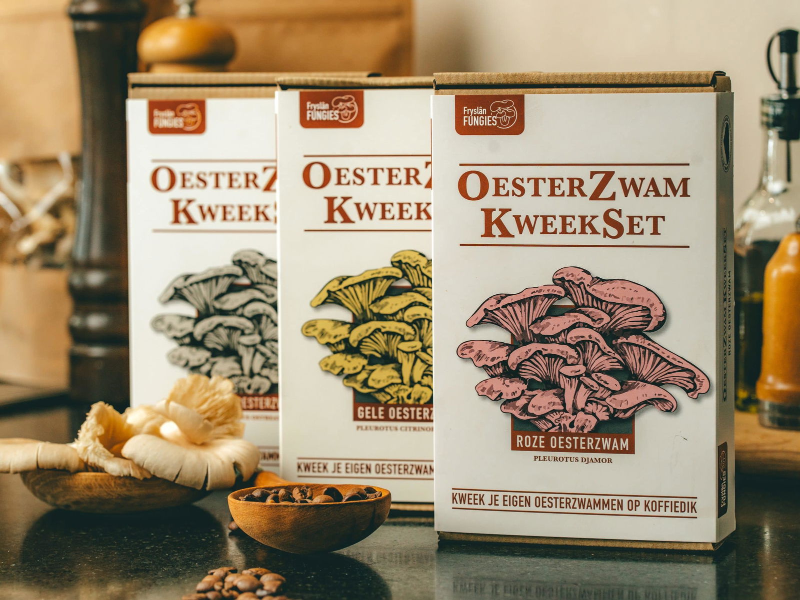Oesterzwam kweeksets, voor het kweken van paddenstoelen op je eigen koffiedik, voor roze, gele en grijze oesterzwammen