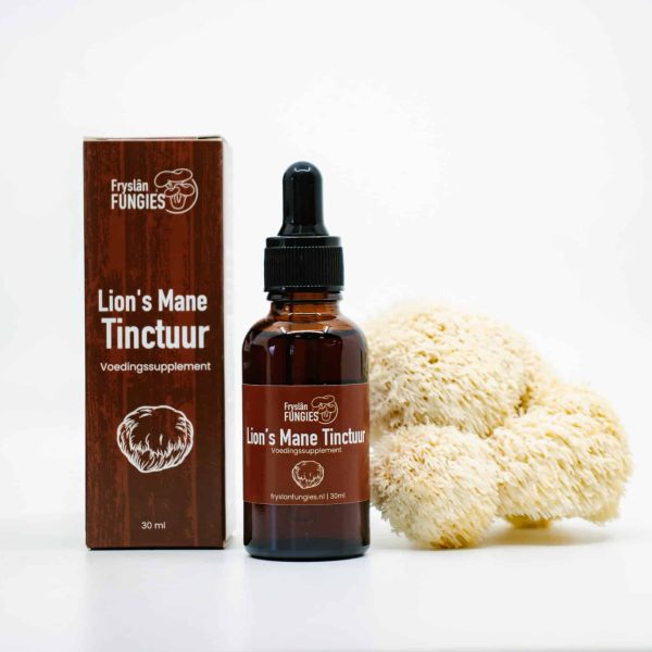 Fryslan Fungies Lions mane Tinctuur (8)