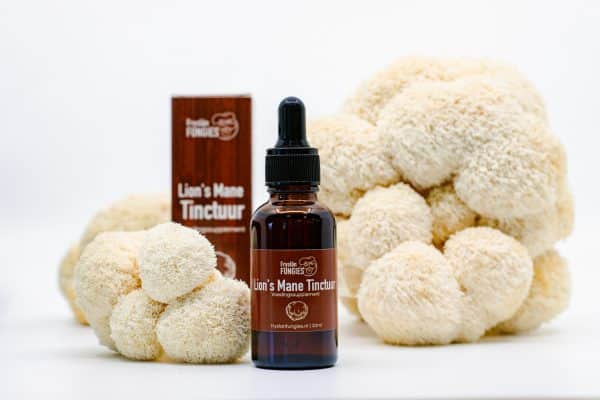 Lion's Mane Tinctuur - Afbeelding 3