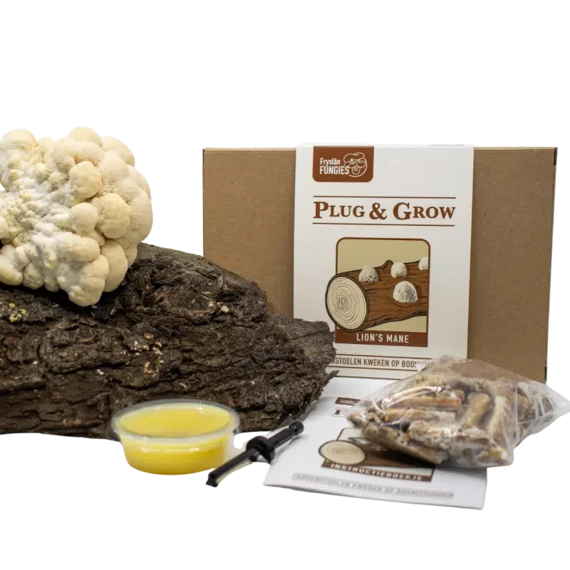 Pruikzwam plug & grow set Pruikzwam plug & grow set