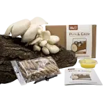 Oesterzwam Plug & Grow set