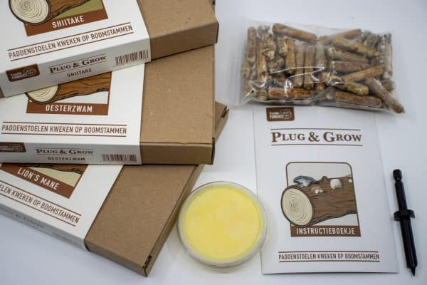 Shiitake Plug & Grow set - Afbeelding 5