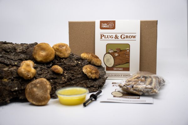 plug & grow set (33)