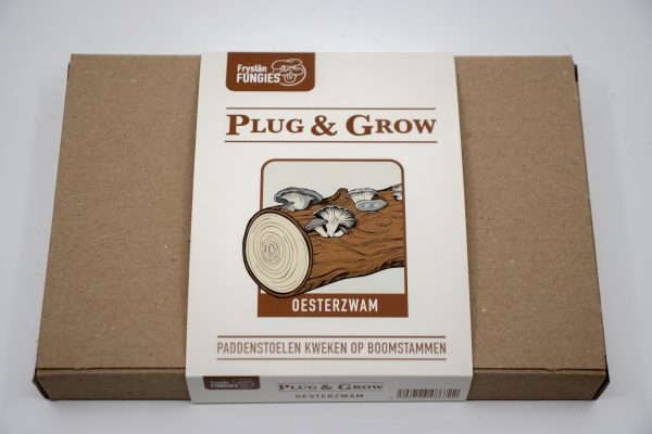 Oesterzwam Plug & Grow set - Afbeelding 2