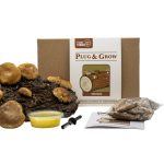 Shiitake Plug & Grow set