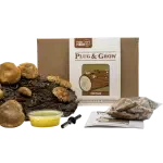 Shiitake Plug & Grow set