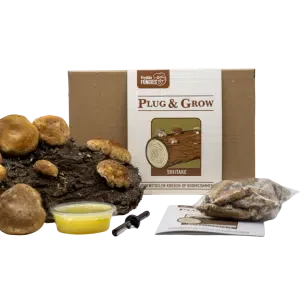 plug & grow set shiitake paddenstoelen kweken op boomstammen