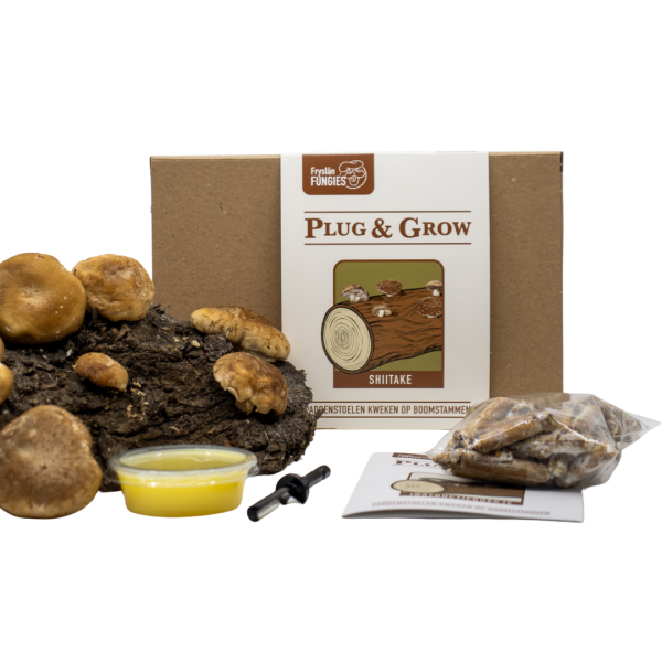 plug & grow set shiitake paddenstoelen kweken op boomstammen