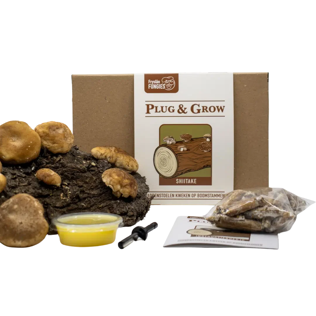 plug & grow set shiitake paddenstoelen kweken op boomstammen