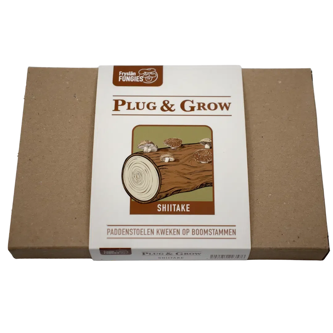 Shiitake Plug & Grow set - Afbeelding 3