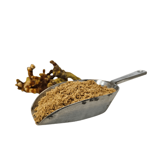 gemalen reishi in schep