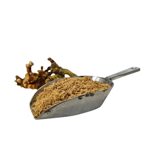 gemalen reishi in schep