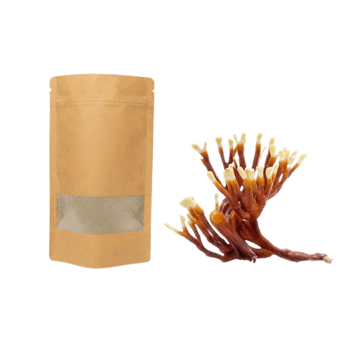 Reishi gemalen in zak