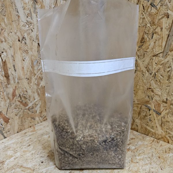 Kweekzak groot 5 liter voor in autoclaaf / zelf paddenstoelen kweken